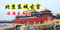 被大鸡巴插逼中国北京-东城古宫旅游风景区